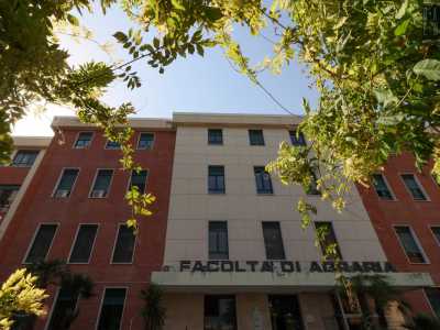 La collezione di insetti del Campus